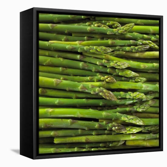 Green Asparagus Spears-Dave King-Framed Premier Image Canvas