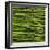 Green Asparagus Spears-Dave King-Framed Photographic Print
