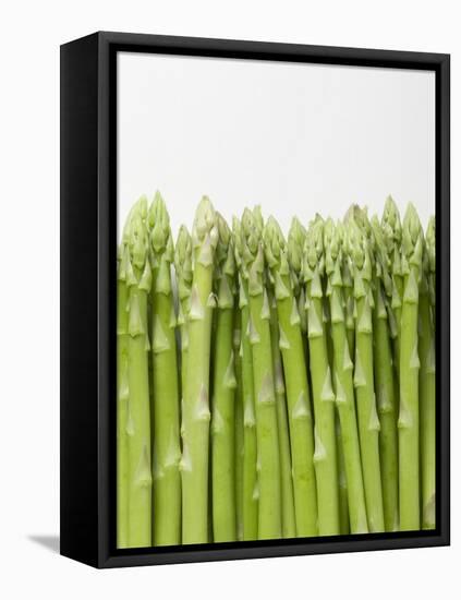 Green Asparagus-null-Framed Premier Image Canvas