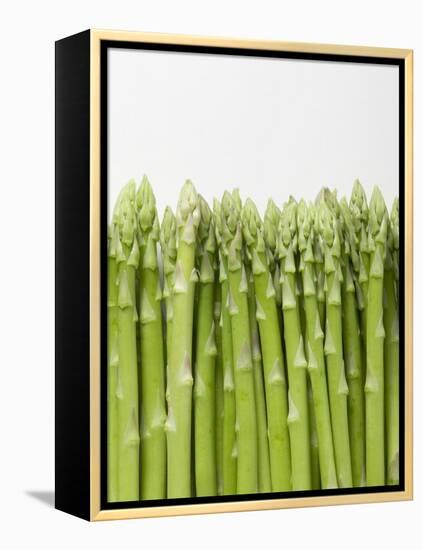 Green Asparagus-null-Framed Premier Image Canvas