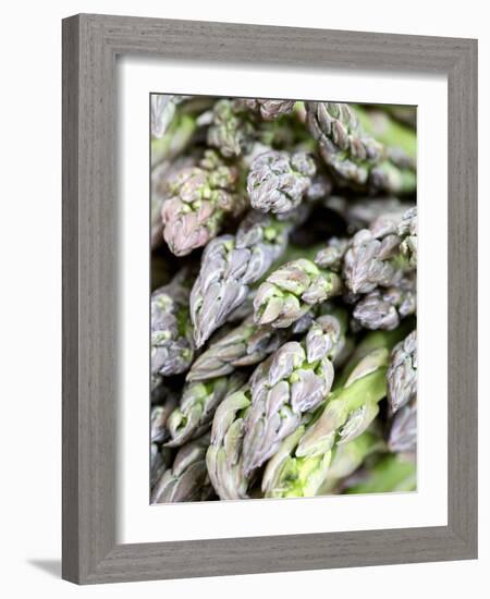 Green Asparagus-Frank Tschakert-Framed Photographic Print