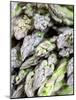 Green Asparagus-Frank Tschakert-Mounted Photographic Print