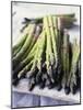 Green Asparagus-Philip Webb-Mounted Photographic Print