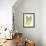 Green Bananas-Cat Coquillette-Framed Giclee Print displayed on a wall