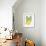 Green Bananas-Cat Coquillette-Framed Giclee Print displayed on a wall