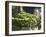 Green Beans in Vegetable Garden, Clos Des Iles, Le Brusc, Var, Cote d'Azur, France-Per Karlsson-Framed Photographic Print