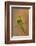 Green Bee-Eater (Merops orientalis), Bandhavgarh National Park, Madhya Pradesh, India, Asia-Sergio Pitamitz-Framed Photographic Print