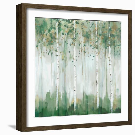 Green Birch Forest-Ian C-Framed Art Print