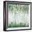 Green Birch Forest-Ian C-Framed Art Print