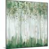 Green Birch Forest-Ian C-Mounted Art Print