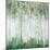 Green Birch Forest-Ian C-Mounted Art Print