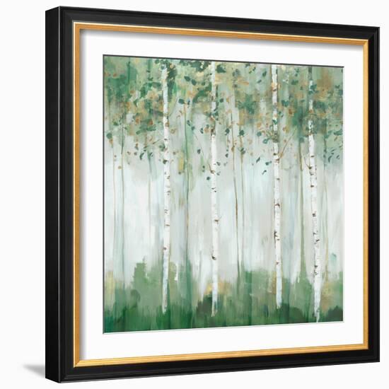 Green Birch Forest-Ian C-Framed Art Print