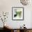 Green Bird-Sidsel Brix-Framed Art Print displayed on a wall