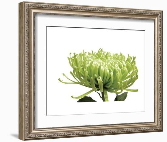 Green Bloom 1-Jenny Kraft-Framed Art Print