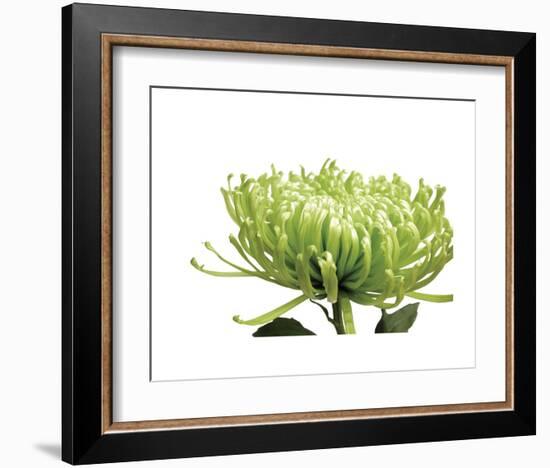 Green Bloom 1-Jenny Kraft-Framed Art Print