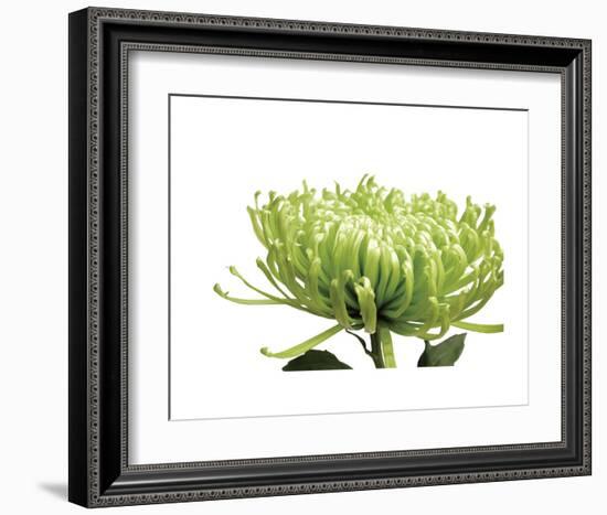 Green Bloom 1-Jenny Kraft-Framed Art Print