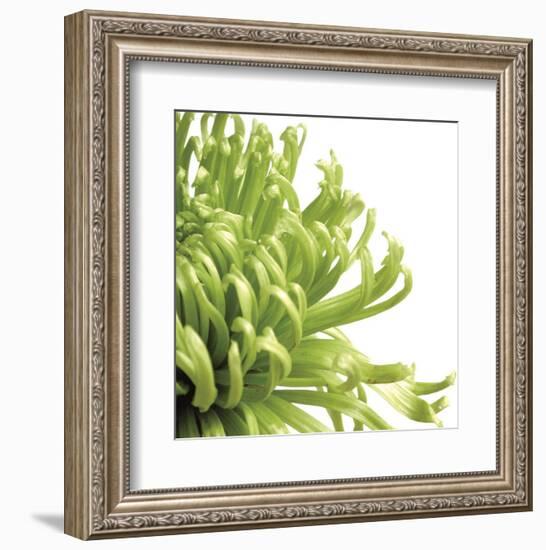 Green Bloom 2 (detail)-Jenny Kraft-Framed Art Print