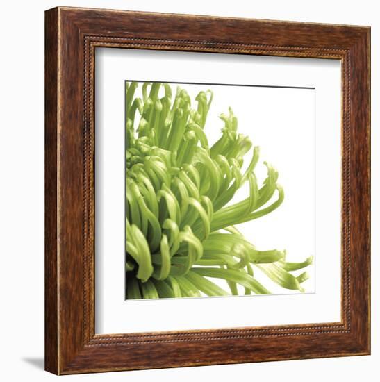 Green Bloom 2 (detail)-Jenny Kraft-Framed Art Print