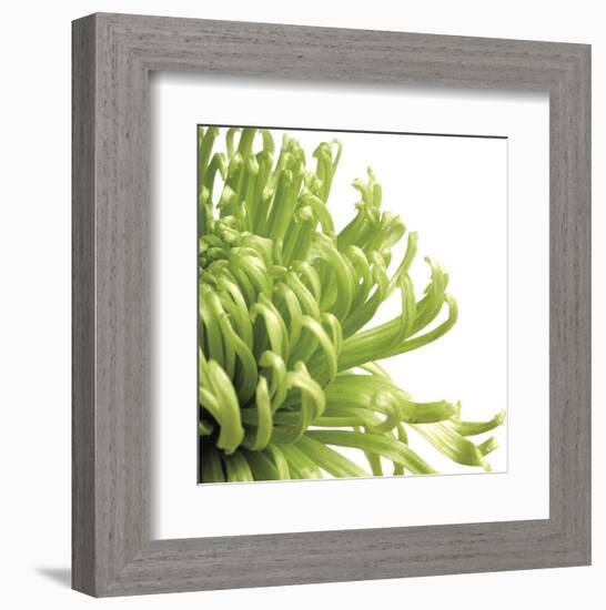 Green Bloom 2 (detail)-Jenny Kraft-Framed Art Print