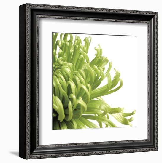 Green Bloom 2 (detail)-Jenny Kraft-Framed Art Print