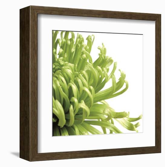 Green Bloom 2 (detail)-Jenny Kraft-Framed Art Print