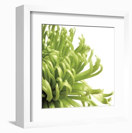 Green Bloom 2 (detail)-Jenny Kraft-Framed Art Print