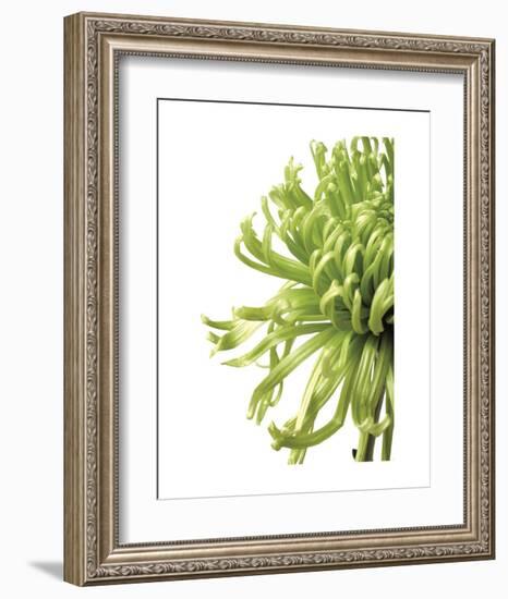 Green Bloom 2 (reverse)-Jenny Kraft-Framed Art Print