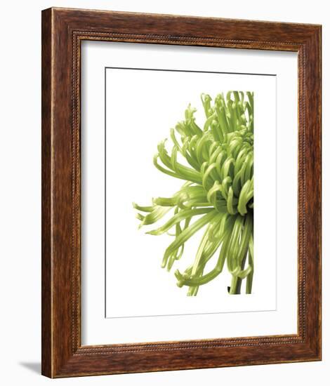 Green Bloom 2 (reverse)-Jenny Kraft-Framed Art Print