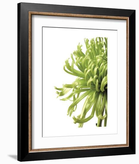 Green Bloom 2 (reverse)-Jenny Kraft-Framed Art Print