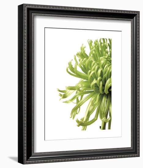 Green Bloom 2 (reverse)-Jenny Kraft-Framed Art Print