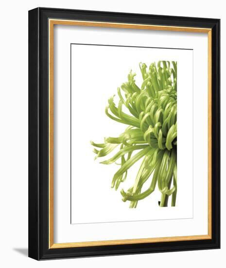 Green Bloom 2 (reverse)-Jenny Kraft-Framed Art Print