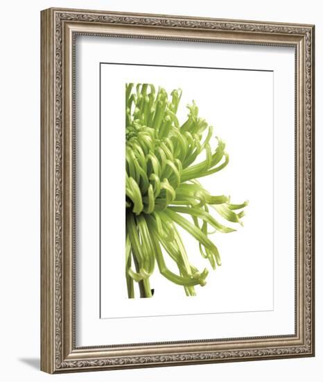 Green Bloom 2-Jenny Kraft-Framed Art Print