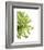 Green Bloom 2-Jenny Kraft-Framed Art Print