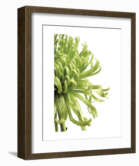 Green Bloom 2-Jenny Kraft-Framed Art Print