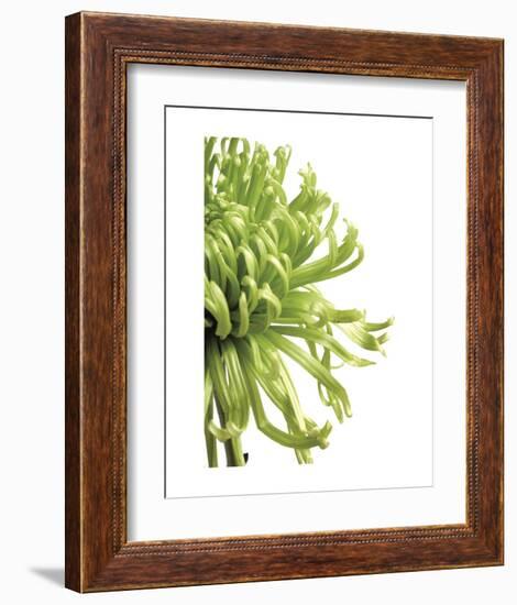 Green Bloom 2-Jenny Kraft-Framed Art Print