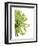 Green Bloom 2-Jenny Kraft-Framed Art Print