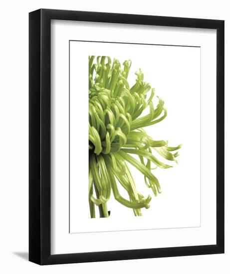 Green Bloom 2-Jenny Kraft-Framed Art Print