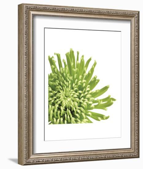 Green Bloom 3 (detail)-Jenny Kraft-Framed Art Print