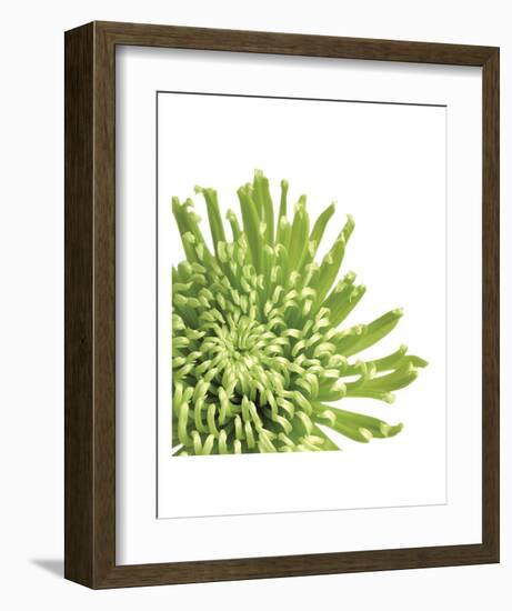 Green Bloom 3 (detail)-Jenny Kraft-Framed Art Print