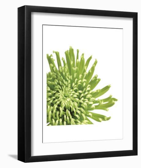 Green Bloom 3 (detail)-Jenny Kraft-Framed Art Print