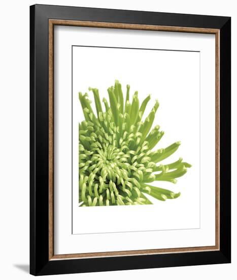 Green Bloom 3 (detail)-Jenny Kraft-Framed Art Print