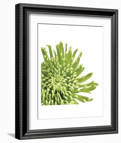 Green Bloom 3 (detail)-Jenny Kraft-Framed Art Print