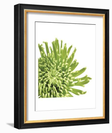 Green Bloom 3 (detail)-Jenny Kraft-Framed Art Print