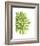 Green Bloom 3-Jenny Kraft-Framed Art Print
