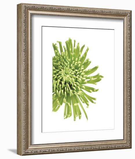 Green Bloom 3-Jenny Kraft-Framed Art Print