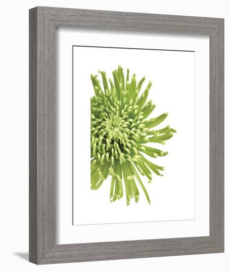 Green Bloom 3-Jenny Kraft-Framed Art Print