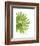 Green Bloom 3-Jenny Kraft-Framed Art Print