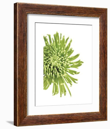 Green Bloom 3-Jenny Kraft-Framed Art Print