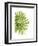 Green Bloom 3-Jenny Kraft-Framed Art Print