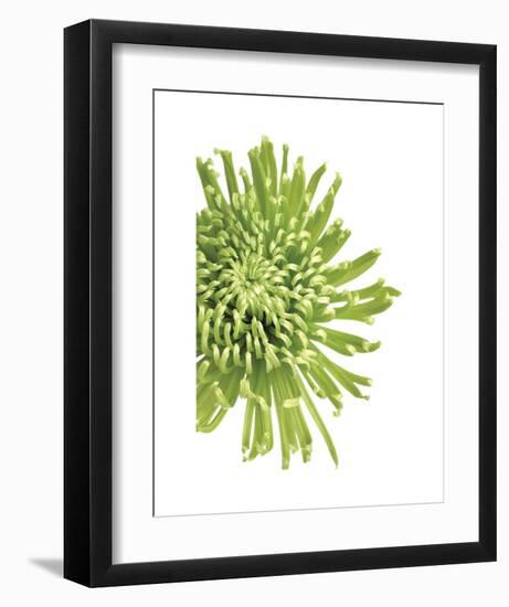 Green Bloom 3-Jenny Kraft-Framed Art Print